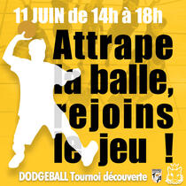 Facebook Dodgeball Rennes