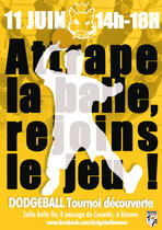 Affiche Dodgeball Rennes